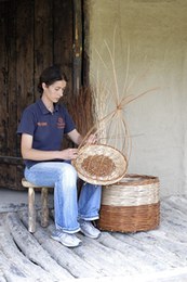 The terramare inhabitants used branches from trees and bushes, such as hazel, viburnum, ash and willow to make baskets, trellises and fences.